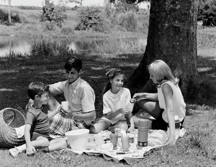 Framed Print : Family with two children having picnic in park
