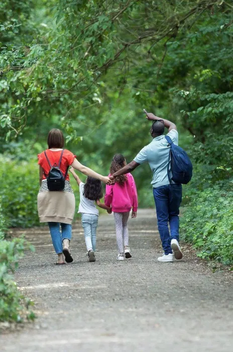 Framed Print : Family holding hands walking on path in park