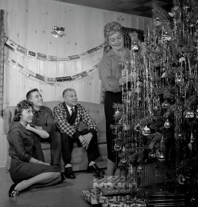 Framed Print : Family preparing Christmas tree in living room Framed Print : Family preparing Christmas tree in living room