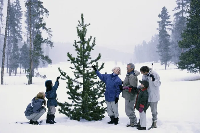Framed Print : Family standing in the snow