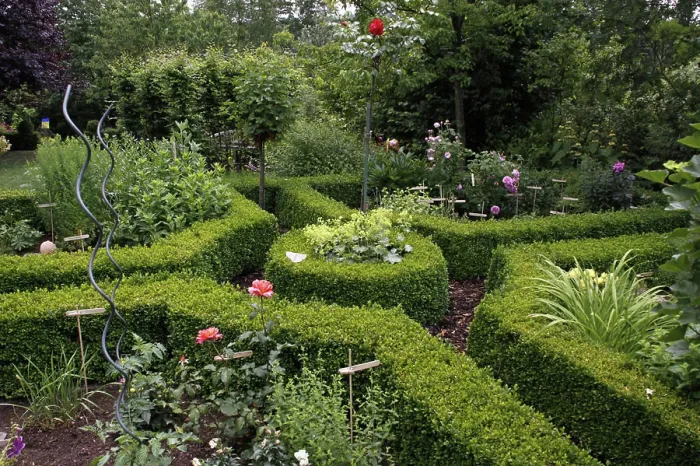 Framed Print : Farm garden with boxwood hedge farm garden with boxwood hedges Framed Print : Farm garden with boxwood hedge farm garden with boxwood hedges