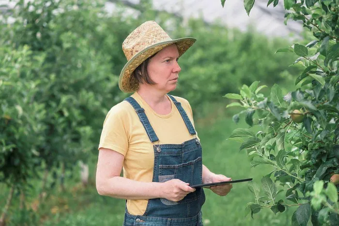 Framed Print : Farmer using tablet computer in organic apple orchard