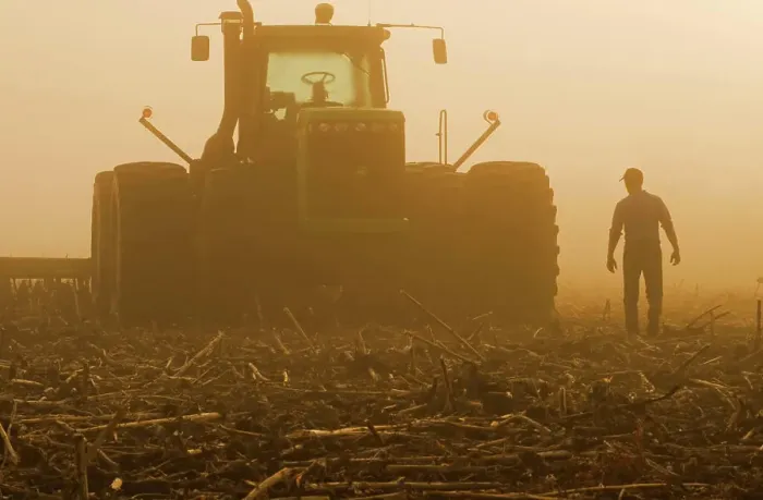 Framed Print : a farmer walks toward a tractor pulling cultivating equipment in a sunflower stubble field Framed Print : a farmer walks toward a tractor pulling cultivating equipment in a sunflower stubble field
