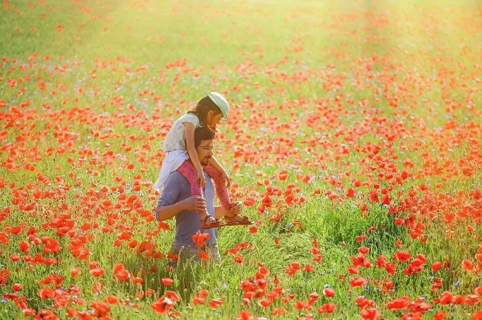 Framed Print : Father carrying daughter on shoulders in sunny idyllic rural field with red poppies Framed Print : Father carrying daughter on shoulders in sunny idyllic rural field with red poppies
