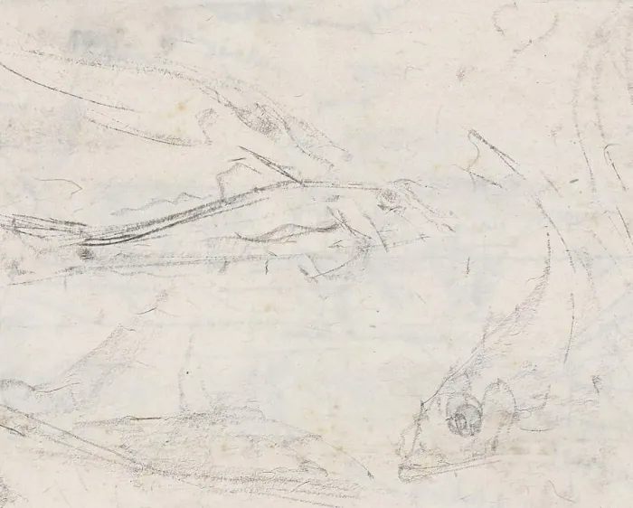 Framed Print : Fish, draughtsman: Gerrit Willem Dijsselhof, 1876 - 1924, paper, h 232 mm × w 287 mm