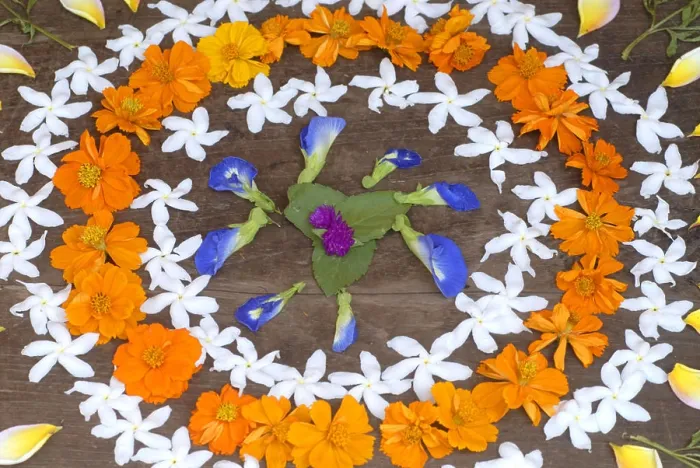 Framed Print : Floor design known as rangoli drawn by colorful flowers at Harihareshwar or Dakshin Kashi