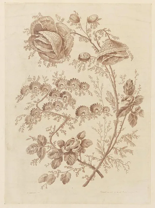 Framed Print : Flower Bough, from Cahier de Fleurs Singuliers Framed Print : Flower Bough, from Cahier de Fleurs Singuliers