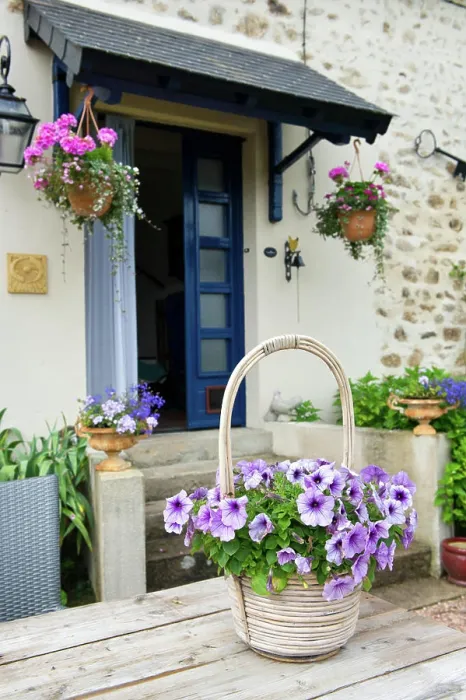 Framed Print : French garden Flower pot Pink Petunias in French garden Copyright: xZoonar.com / IvonnexWierinkx 7803079 Framed Print : French garden Flower pot Pink Petunias in French garden Copyright: xZoonar.com / IvonnexWierinkx 7803079