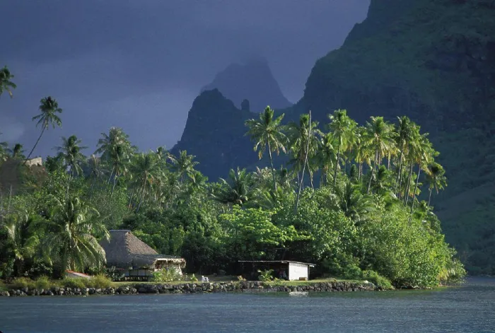 Framed Print : French Polynesia, Moorea, Thatched bungalow and outbuilding on clearing with palm trees