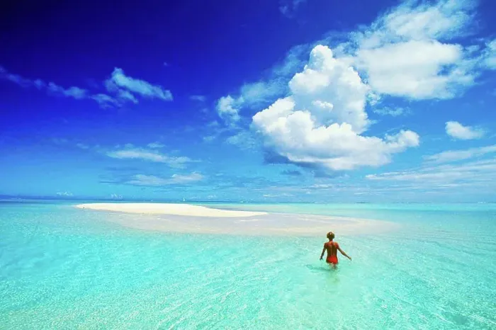 Framed Print : French Polynesia, Tahiti, Bora Bora, calm turquoise ocean surrounds sand islet, woman wading, view from behind Framed Print : French Polynesia, Tahiti, Bora Bora, calm turquoise ocean surrounds sand islet, woman wading, view from behind
