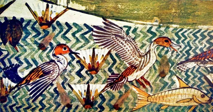 Framed Print : Fresco depicting a bird scene from an ancient Egyptian tomb. Dated 13th Century BC Framed Print : Fresco depicting a bird scene from an ancient Egyptian tomb. Dated 13th Century BC