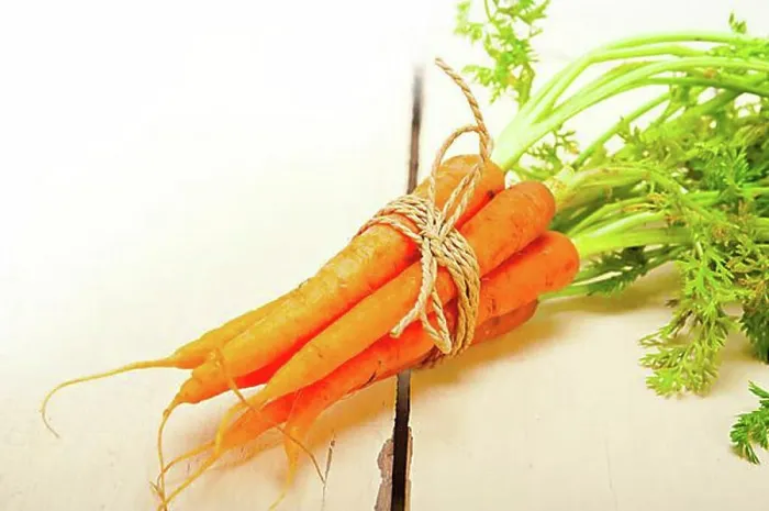 Framed Print : Fresh baby carrots bunch tied with rope on a rustic table Framed Print : Fresh baby carrots bunch tied with rope on a rustic table