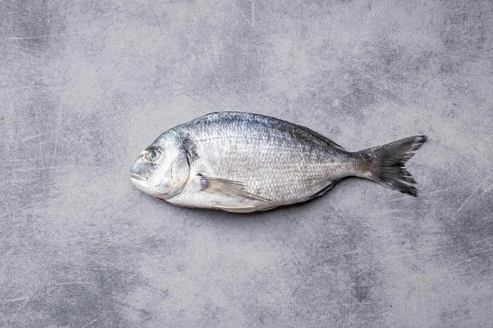 Framed Print : Fresh sea bream fish on kitchen table Framed Print : Fresh sea bream fish on kitchen table