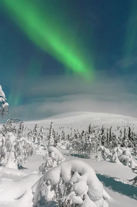 Framed Print : Frozen snowy forest under the Northern Lights Framed Print : Frozen snowy forest under the Northern Lights