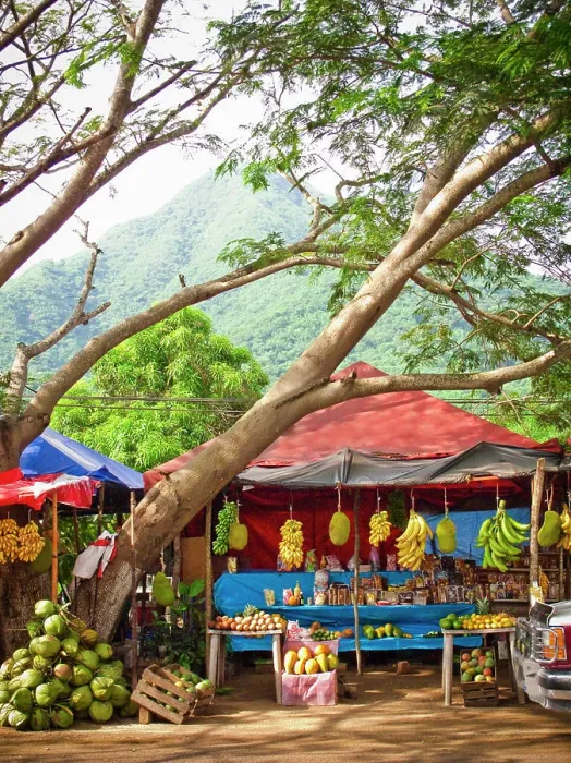 Framed Print : fruit stand in manzanillo, colima, mexico Framed Print : fruit stand in manzanillo, colima, mexico
