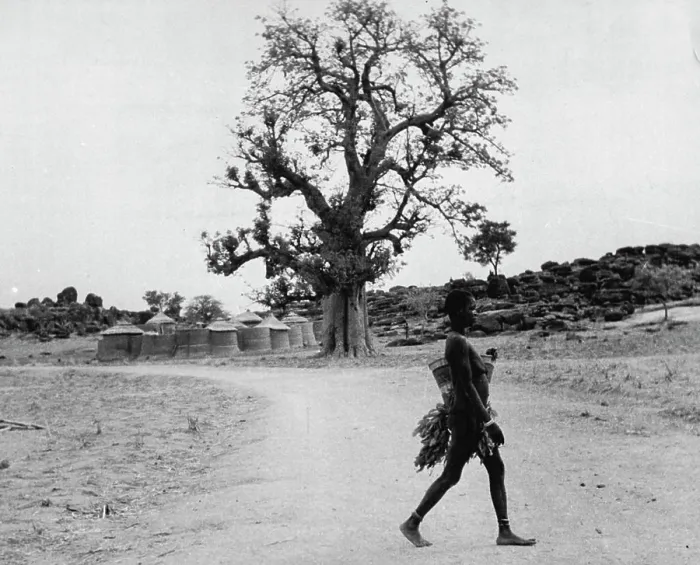 Framed Print : The Furafura Pagans Of The Gold Coast (Northern Territories) -- A Furafura woman crosses the road