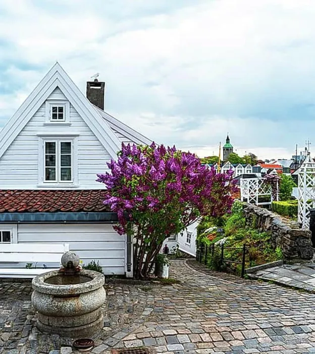 Framed Print : Gamle Stavanger, White Wooden Buildings in Old Stavanger, Stavanger, Norway, Europe Framed Print : Gamle Stavanger, White Wooden Buildings in Old Stavanger, Stavanger, Norway, Europe