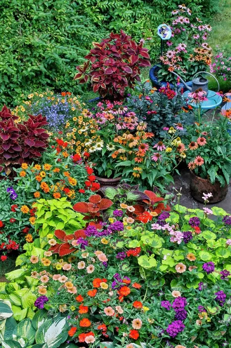 Framed Print : Garden in full bloom, Sammamish, Washington State