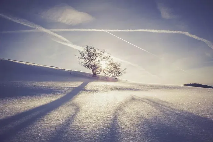 Framed Print : Germany, Baden-Wurttemberg, Swabian Mountains, Tree in snow covered landscape Framed Print : Germany, Baden-Wurttemberg, Swabian Mountains, Tree in snow covered landscape