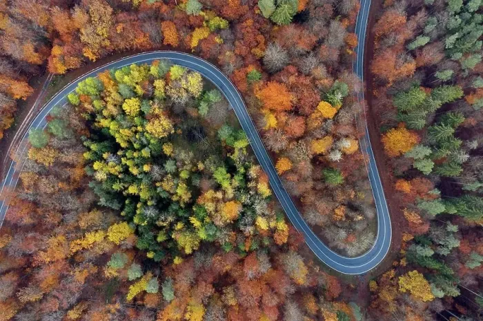 Framed Print : Germany, Bavaria, Drone view of winding country road cutting through autumn forest in¶ÿSteigerwald