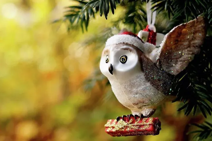 Framed Print : Germany, Minden, christmas bauble, owl with present Framed Print : Germany, Minden, christmas bauble, owl with present