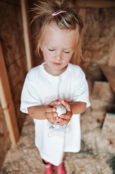 Framed Print : Girl, 4years, holds chicken egg in coop carefully