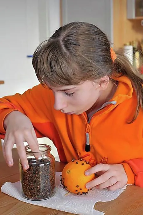Framed Print : Girl crafting an air freshener from an orange and cloves, pomander Framed Print : Girl crafting an air freshener from an orange and cloves, pomander