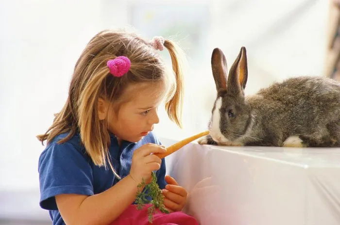Framed Print : Girl with Rabbit