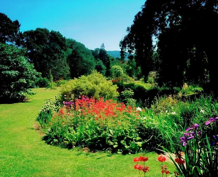 Framed Print : Glenleigh Gardens, Co Tipperary, Ireland, Candelabra Primula
