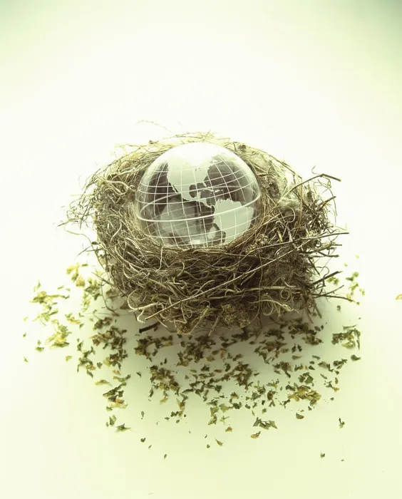 Framed Print : Globe in a bird's nest