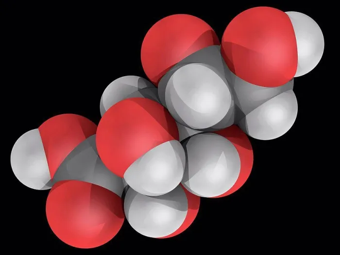 Framed Print : Gluconic acid, molecular model Framed Print : Gluconic acid, molecular model