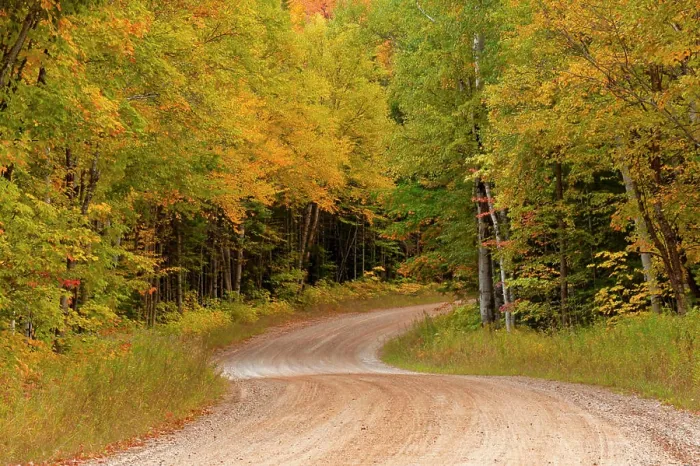 Framed Print : Gravel road through Hiawatha National Forest, Upper Peninsula of Michigan