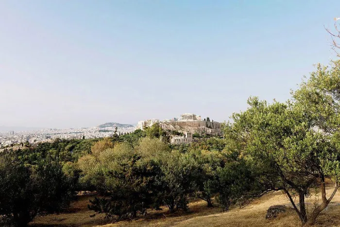 Framed Print : Greece, Athens, Acropolis and Parthenon surrounded by olive trees as seen from Areopagus Framed Print : Greece, Athens, Acropolis and Parthenon surrounded by olive trees as seen from Areopagus