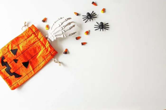 Framed Print : Halloween Flaylay with treat bag, candy corn, spiders
