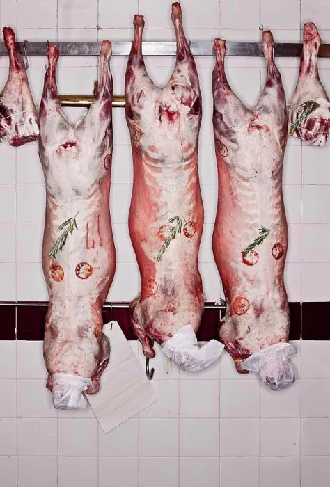 Framed Print : Hanging lamb carcasses in butchers shop Framed Print : Hanging lamb carcasses in butchers shop