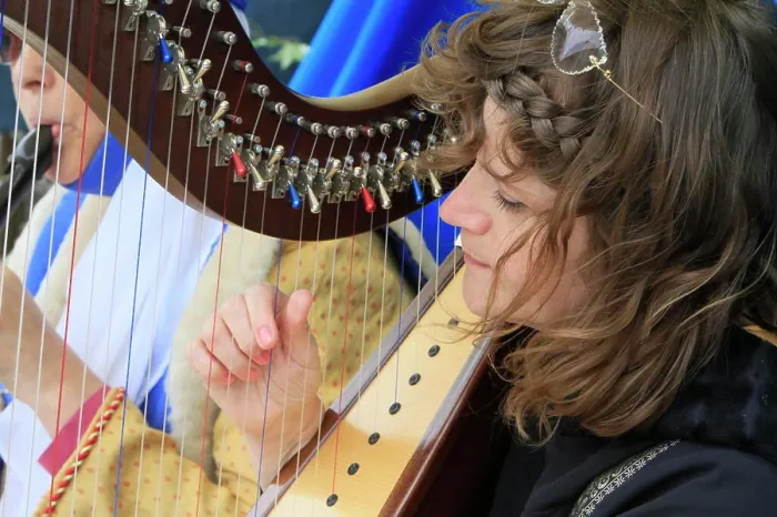 Framed Print : Harpist in the medieval festival of Provins, Seine-et-Marne, France, Europe Framed Print : Harpist in the medieval festival of Provins, Seine-et-Marne, France, Europe