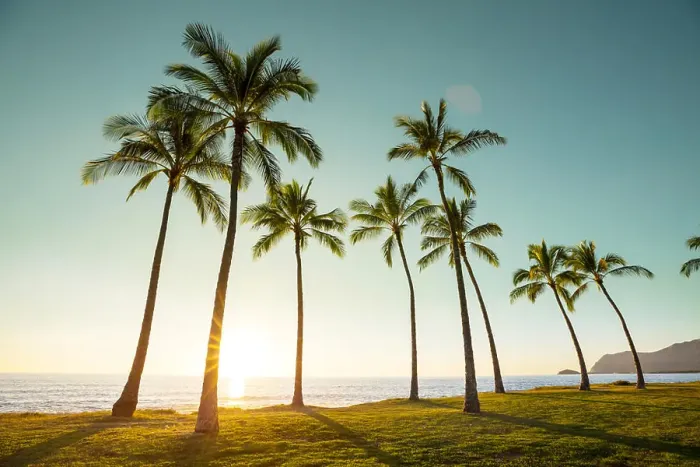Framed Print : Hawaiian beach. Amazing hawaiian beach Framed Print : Hawaiian beach. Amazing hawaiian beach