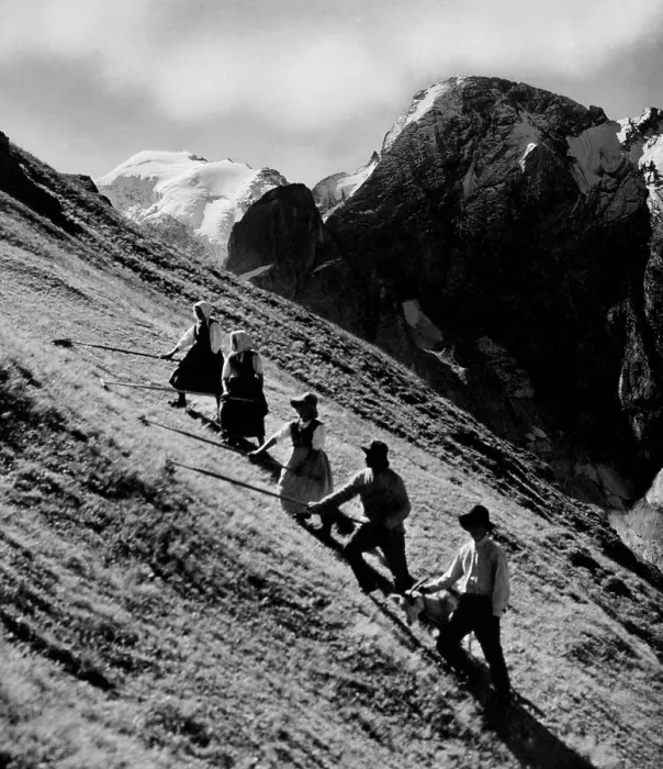 Framed Print : Hay. padon pass. marmolada. Veneto. Italy 1953 Framed Print : Hay. padon pass. marmolada. Veneto. Italy 1953