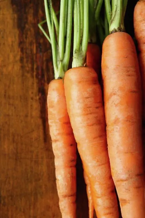 Framed Print : Heirloom Carrots Framed Print : Heirloom Carrots