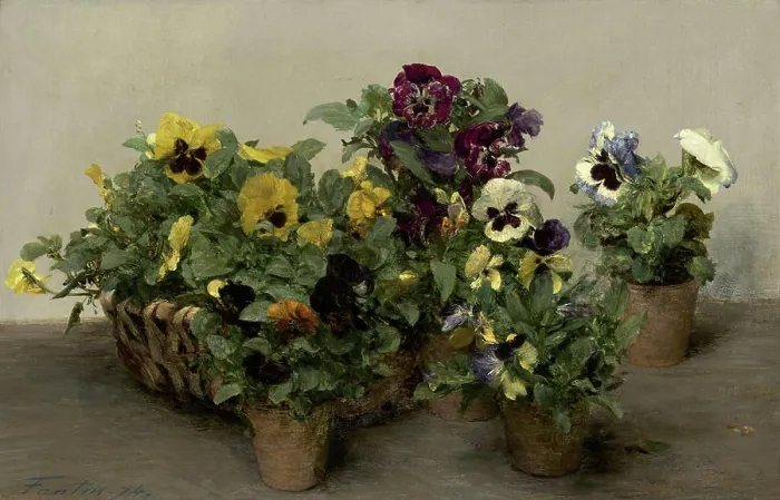 Framed Print : Henri Fantin Latour, Pansies, 1874 Pansies Framed Print : Henri Fantin Latour, Pansies, 1874 Pansies