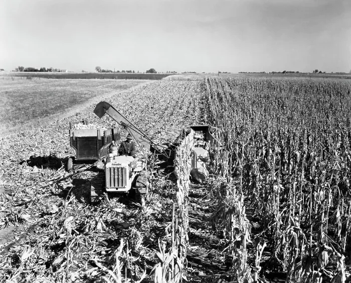 Framed Print : High angle view of a farmer harvesting corn with a combine in a field, Davenport, Iowa, USA Framed Print : High angle view of a farmer harvesting corn with a combine in a field, Davenport, Iowa, USA
