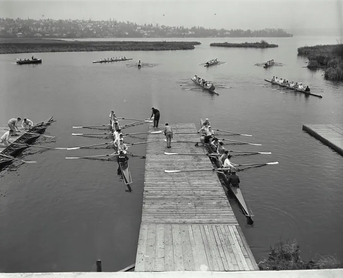 Framed Print : High angle view of rowboats in a sweep rowing race, Lake Washington, Washington, USA Framed Print : High angle view of rowboats in a sweep rowing race, Lake Washington, Washington, USA