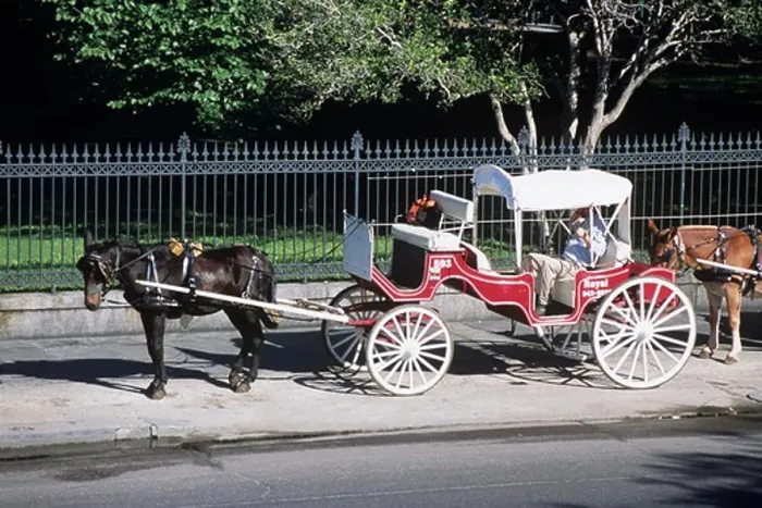 Framed Print : Horse and carriage outside Jackson Square, Decatur Street, French Quarter, New Orleans, Louisiana, USA Framed Print : Horse and carriage outside Jackson Square, Decatur Street, French Quarter, New Orleans, Louisiana, USA