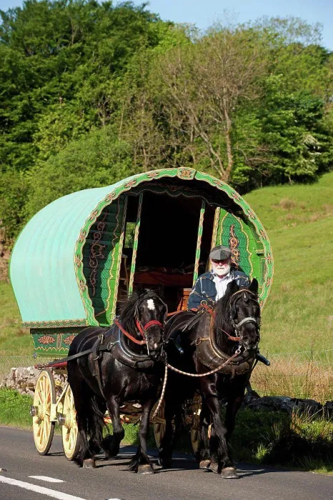Framed Print : Horse drawn Gypsy caravan on road to Appleby Horse Fair, near Ravenstonedale, Cumbria, England, june Framed Print : Horse drawn Gypsy caravan on road to Appleby Horse Fair, near Ravenstonedale, Cumbria, England, june