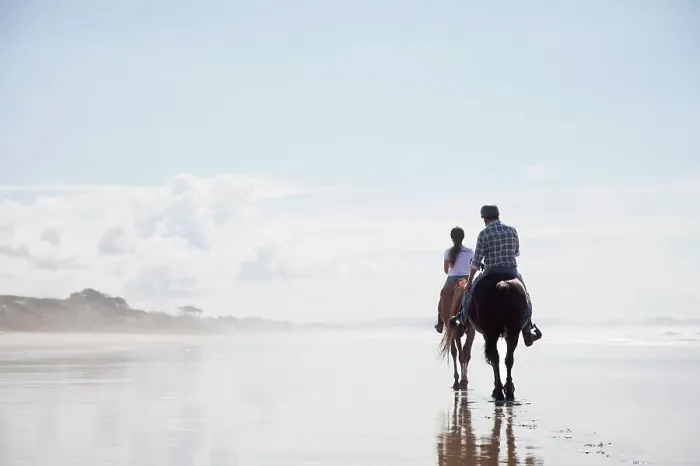 Framed Print : Horse riding, Pakiri Beach, Auckland, New Zealand Framed Print : Horse riding, Pakiri Beach, Auckland, New Zealand