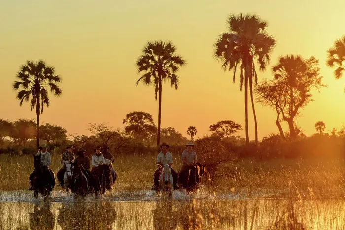 Framed Print : Horseback riding safari with African Horseback Safaris to a backdrop of Real fan palm or Makalani palm Framed Print : Horseback riding safari with African Horseback Safaris to a backdrop of Real fan palm or Makalani palm
