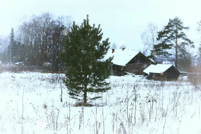 Framed Print : house in country rural Winter house in country rural in Winter