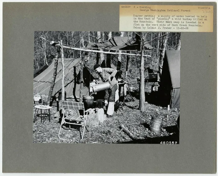 Framed Print : Hunting - Virginia. Photographs Relating to National Forests