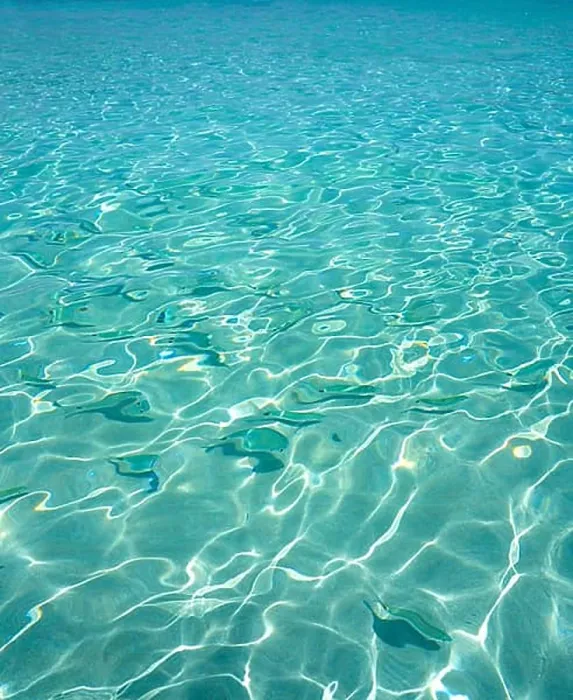 Framed Print : Ibiza Portinatx Arenal Petit beach clear water fishes in Balearic Islands