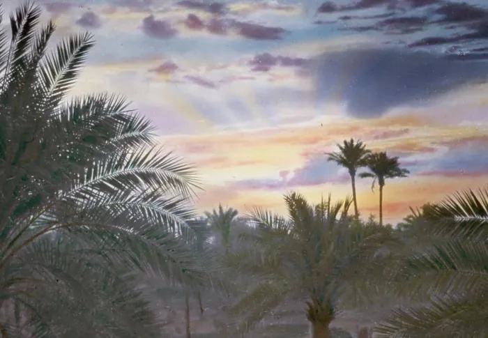 Framed Print : Iraq (Babylonia) Baghdad, sunrise seen through palm groves from Y.M.C.A. building. 1950, Iraq, Baghdad Framed Print : Iraq (Babylonia) Baghdad, sunrise seen through palm groves from Y.M.C.A. building. 1950, Iraq, Baghdad